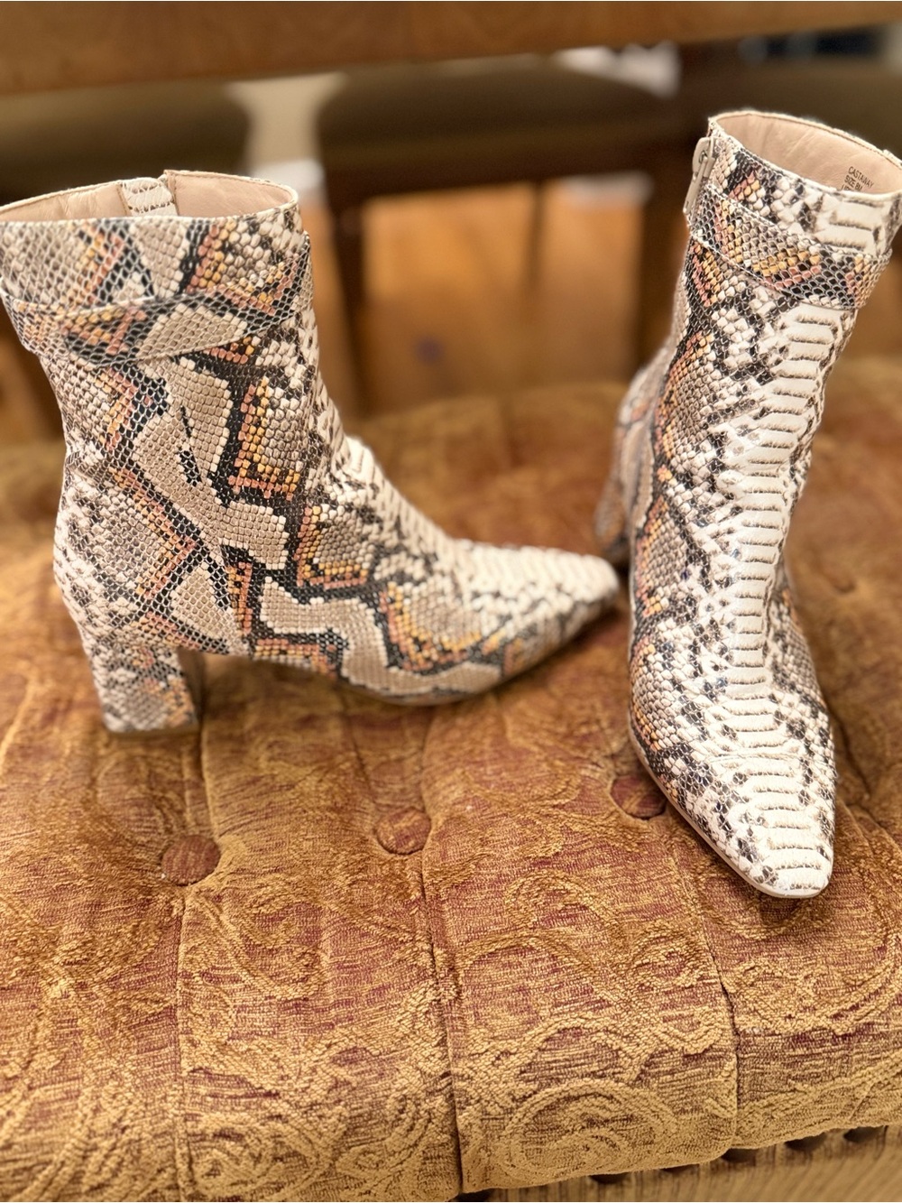 Castaway Snake-Print Pointed Toe Ankle Boots in Beige and Black